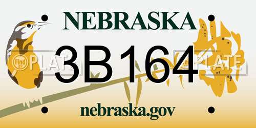3B164 Nebraska License Plate