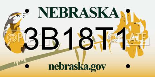 3B18T1 Nebraska License Plate