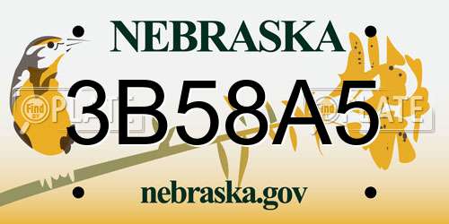 3B58A5 Nebraska License Plate