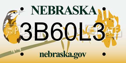 3B60L3 Nebraska License Plate