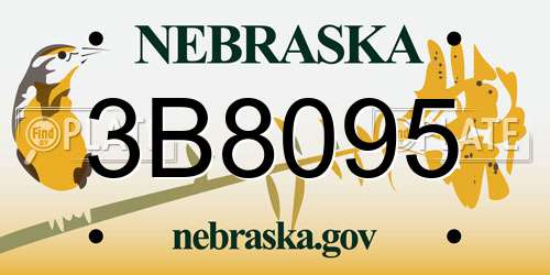 3B8095 Nebraska License Plate