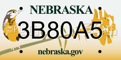 3B80A5 Nebraska License Plate