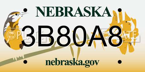 3B80A8 Nebraska License Plate