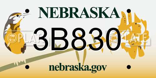 3B830 Nebraska License Plate
