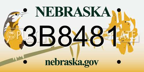 3B8481 Nebraska License Plate