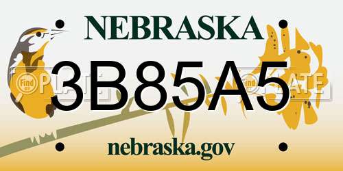 3B85A5 Nebraska License Plate