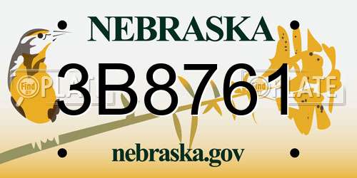 3B8761 Nebraska License Plate