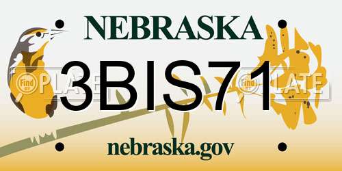 3BIS71 Nebraska License Plate