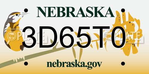 3D65T0 Nebraska License Plate