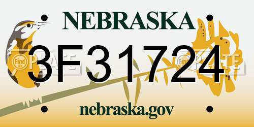 3F31724 Nebraska License Plate