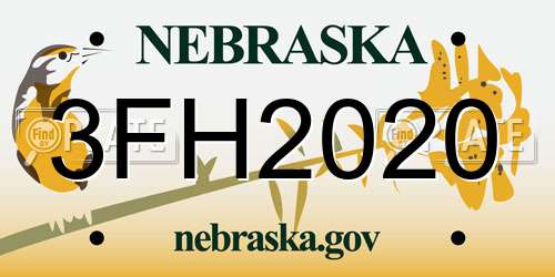 3FH2020 Nebraska License Plate