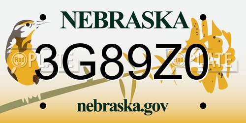 3G89Z0 Nebraska License Plate