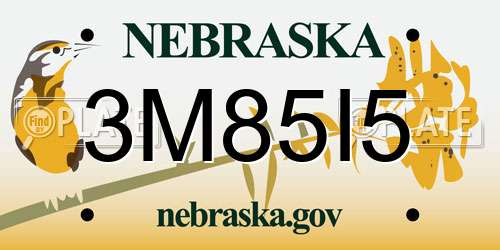 3M85I5 Nebraska License Plate