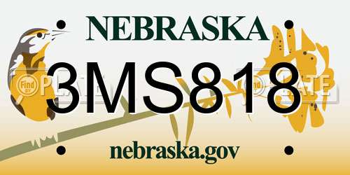 3MS818 Nebraska License Plate