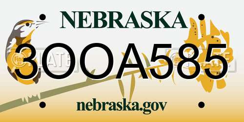 3OOA585 Nebraska License Plate
