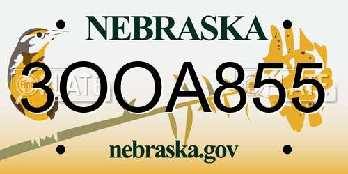 3OOA855 Nebraska License Plate