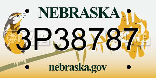 3P38787 Nebraska License Plate