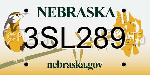 3SL289 Nebraska License Plate