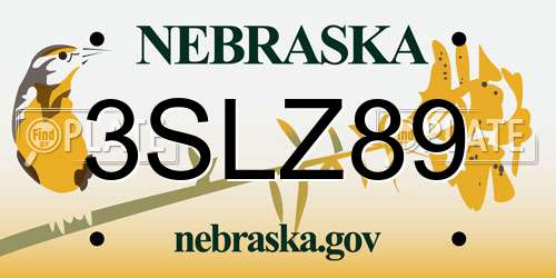 3SLZ89 Nebraska License Plate