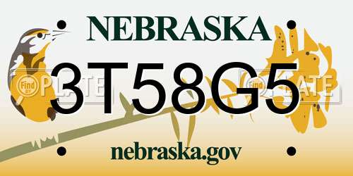3T58G5 Nebraska License Plate