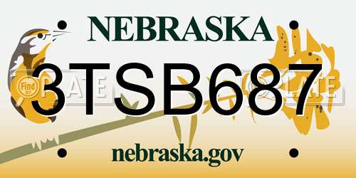3TSB687 Nebraska License Plate