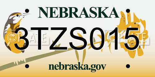 3TZS015 Nebraska License Plate