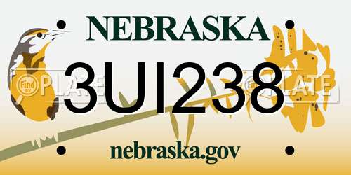 3UI238 Nebraska License Plate