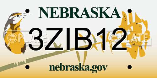 3ZIB12 Nebraska License Plate