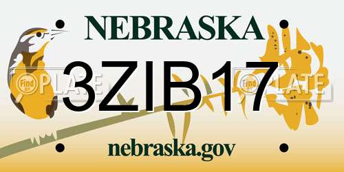 3ZIB17 Nebraska License Plate