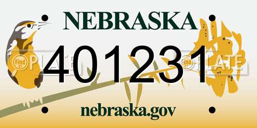 401231 Nebraska License Plate