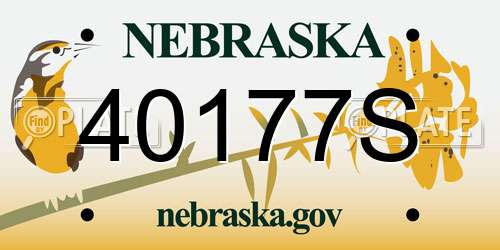 40177S Nebraska License Plate