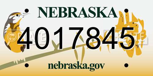 4017845 Nebraska License Plate
