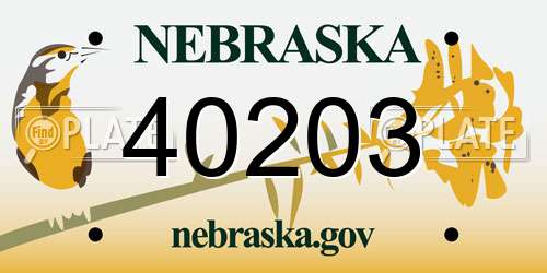 40203 Nebraska License Plate