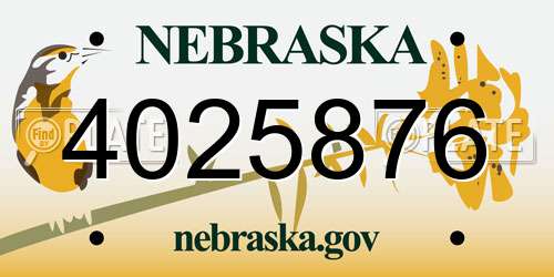 4025876 Nebraska License Plate