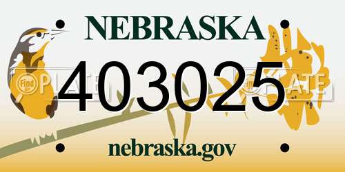 403025 Nebraska License Plate