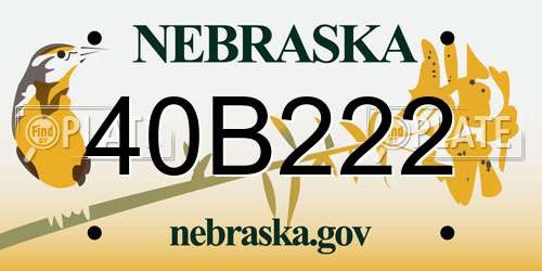 40B222 Nebraska License Plate