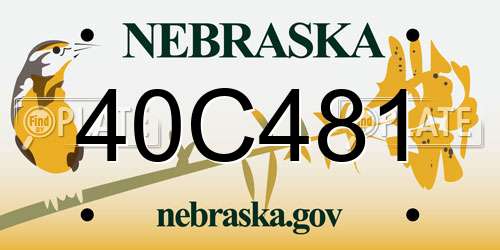 40C481 Nebraska License Plate