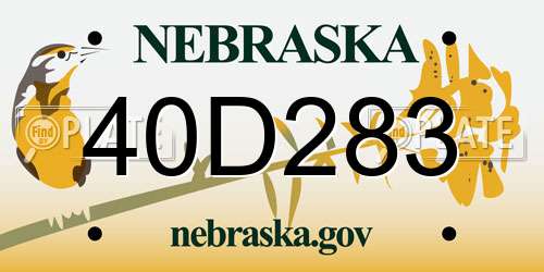 40D283 Nebraska License Plate