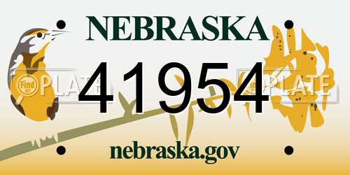 41954 Nebraska License Plate