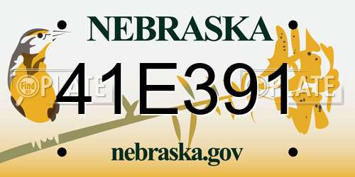 41E391 Nebraska License Plate