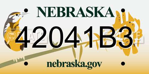 42041B3 Nebraska License Plate