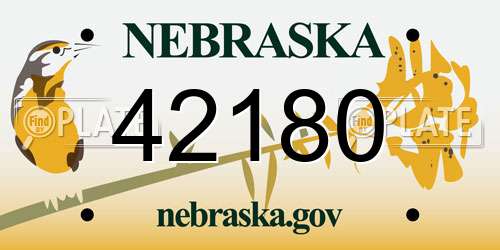 42180 Nebraska License Plate