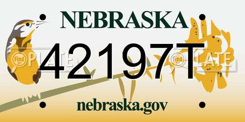 42197T Nebraska License Plate
