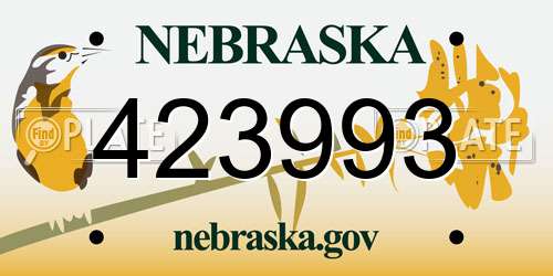 423993 Nebraska License Plate
