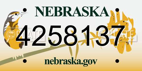 4258137 Nebraska License Plate