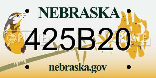 425B20 Nebraska License Plate