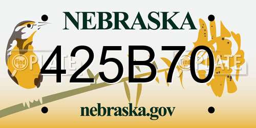425B70 Nebraska License Plate