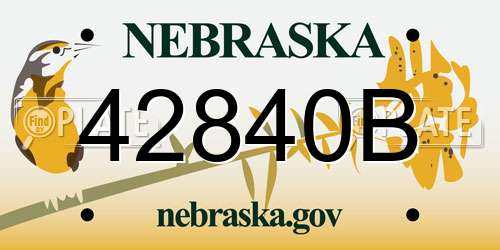 42840B Nebraska License Plate