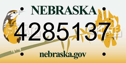 4285137 Nebraska License Plate