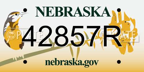 42857R Nebraska License Plate
